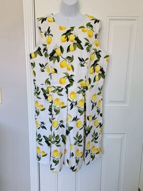 Ryan Michelle Lemons And Leaves Sunny A Line Pleated Sleeveless Dress Size 18